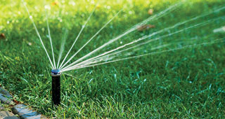 Water your Garden without Wasting Water