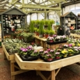 Bespoke Point of Sale Staging for Garden Centres