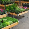Bespoke Point of Sale Staging for Garden Centres